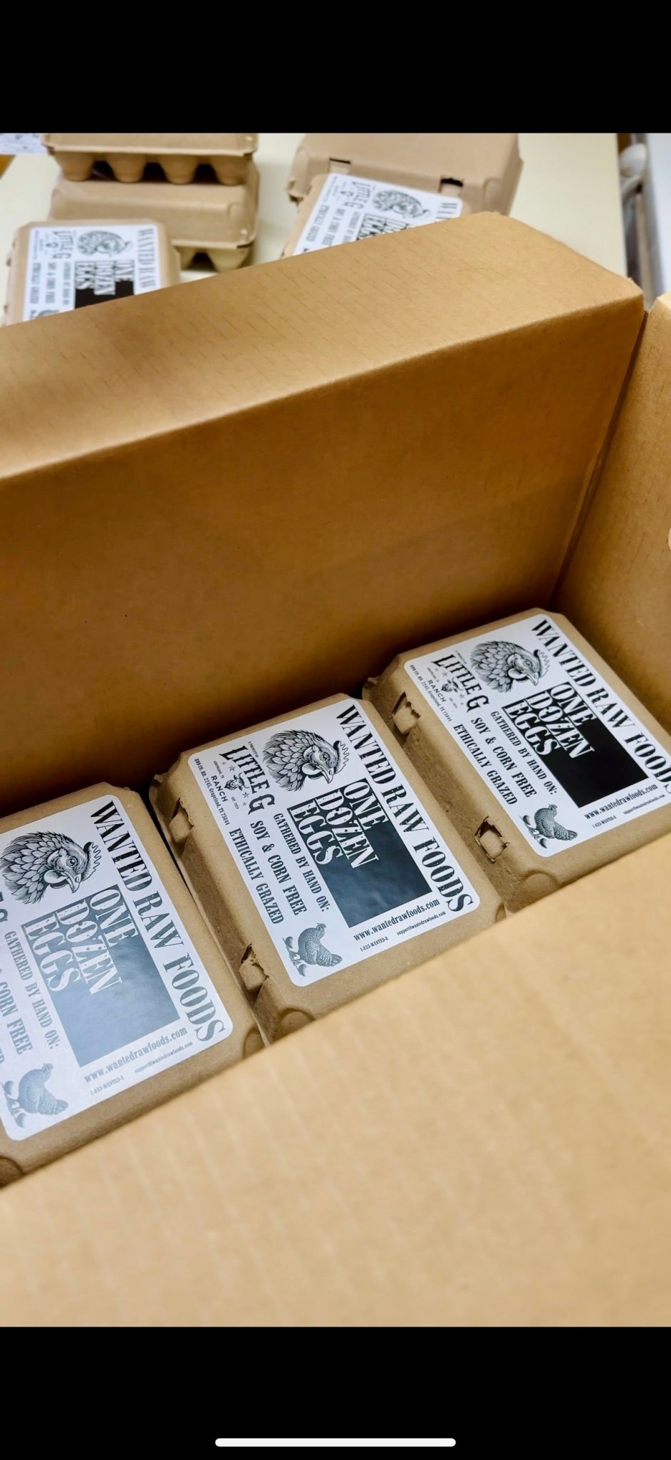 Breakfast Box - Live Event Bundle