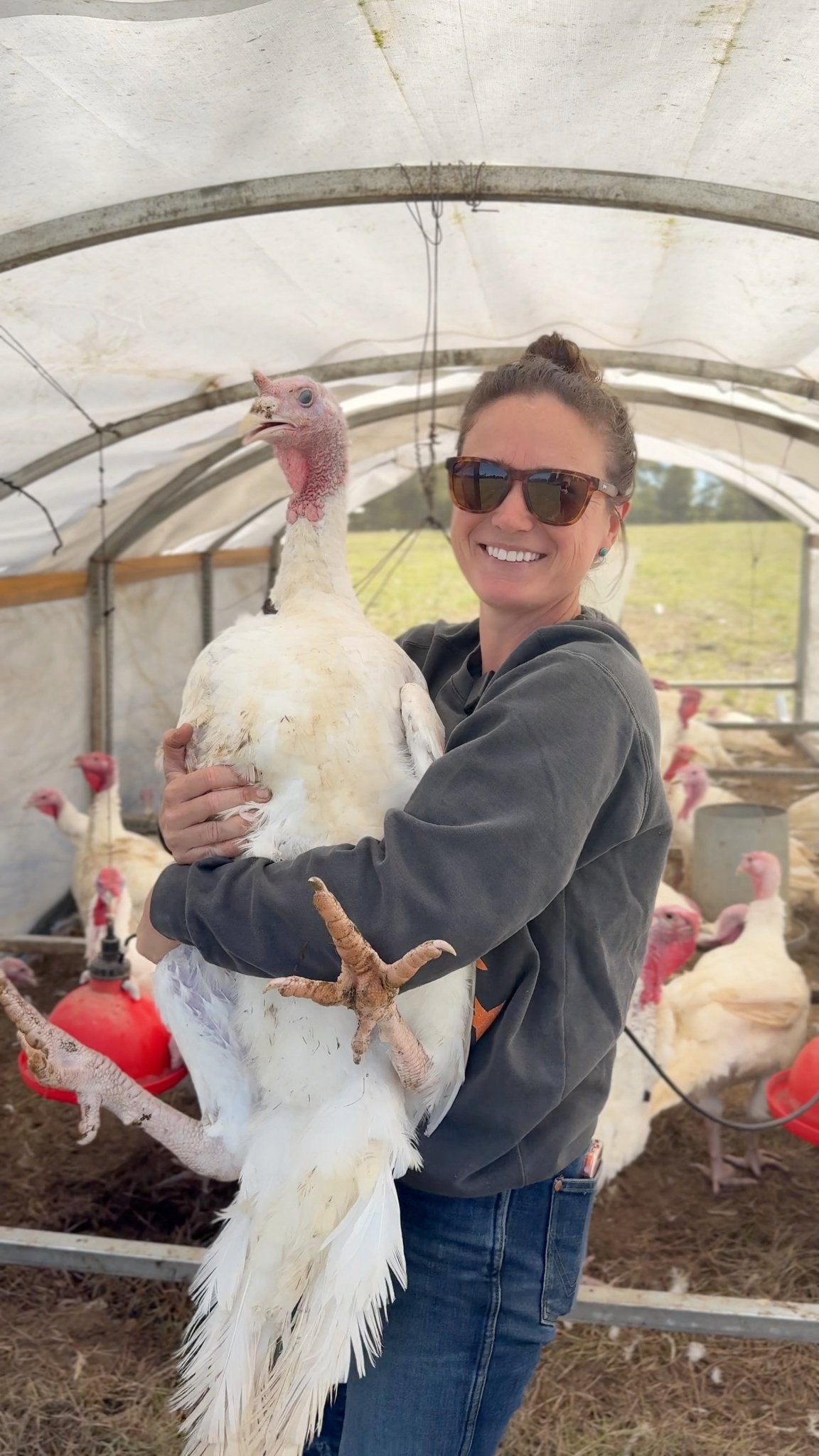 Broad Breasted Turkey - Turkey