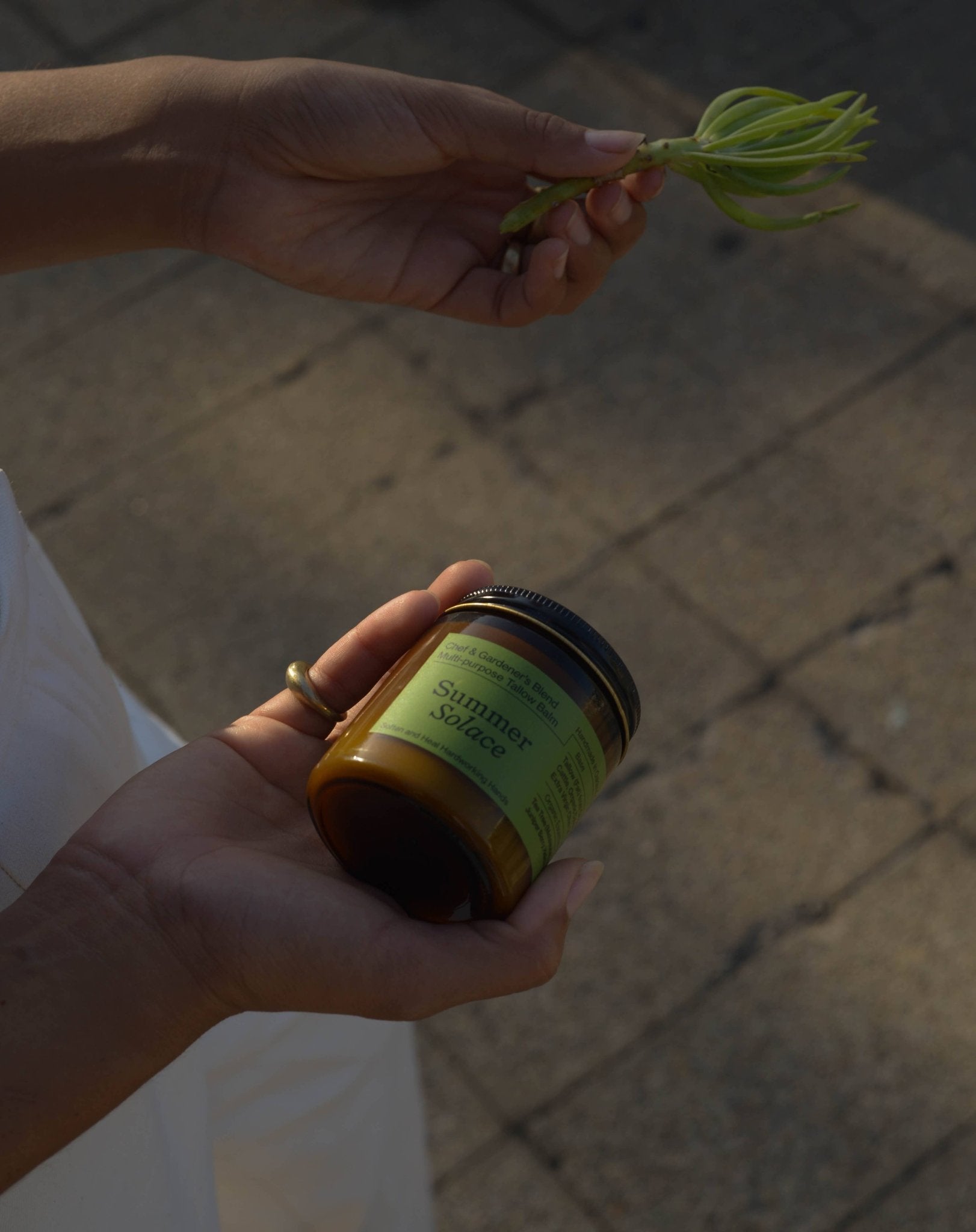 Chef & Gardener's Balm - Regenerative Tallow® - 50mL - Curations