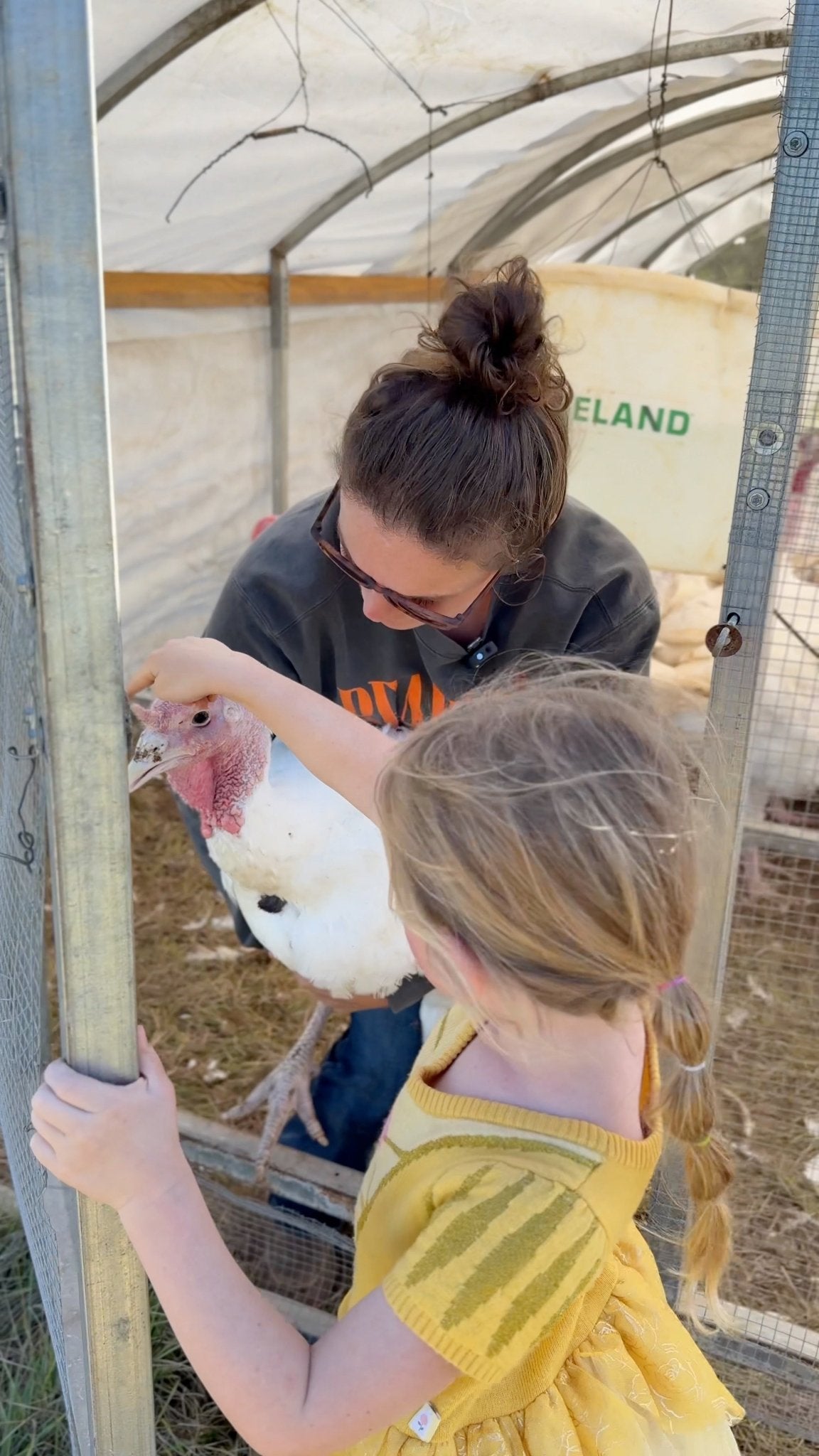 Ham and Turkey Winter Bundle - Butcher Curations