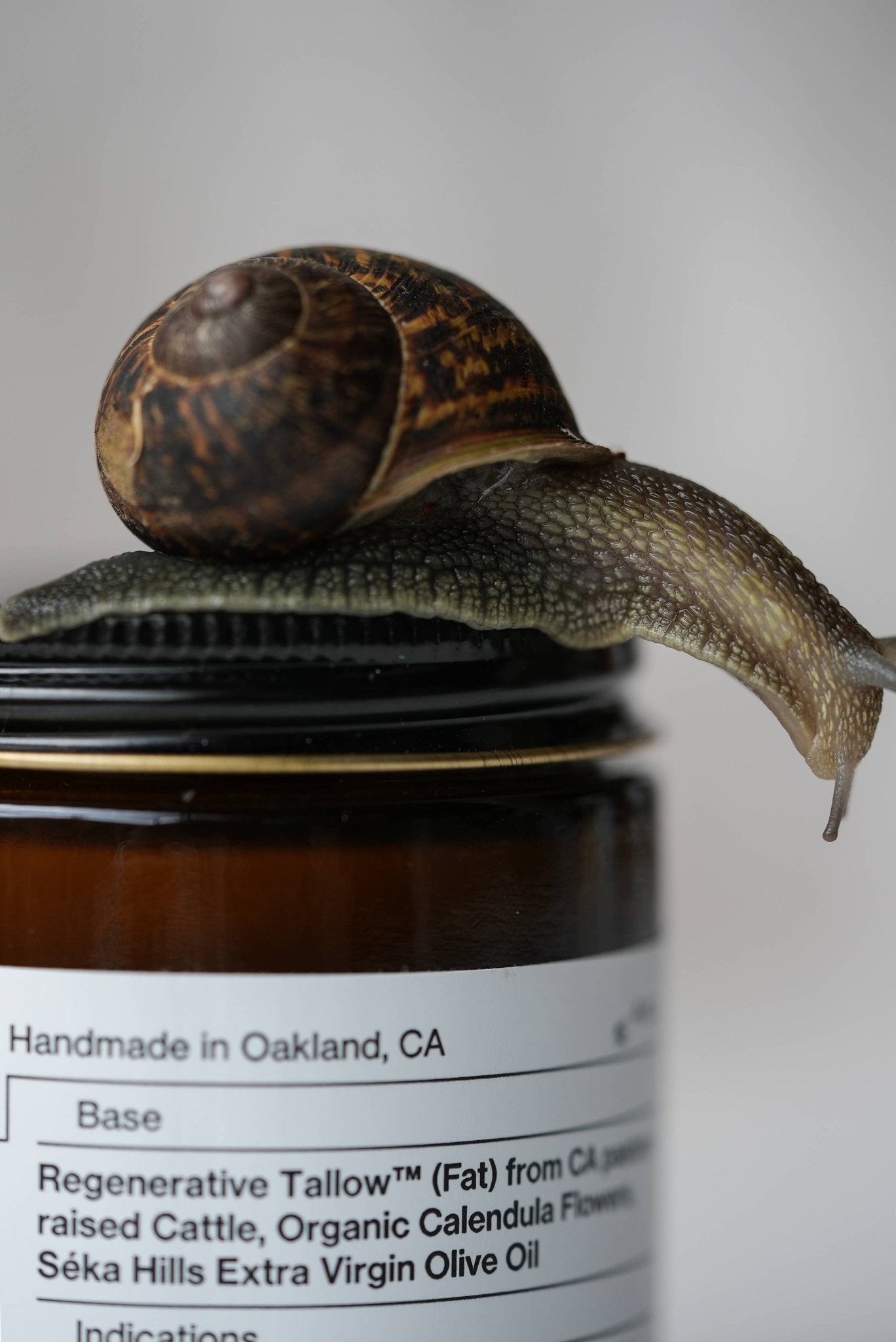 Pure Unscented Balm - 4 oz - Regenerative Tallow® - Curations