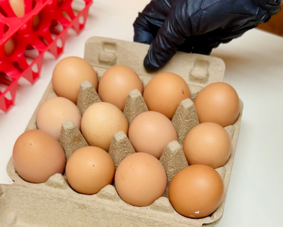 Dozen Eggs Packaged In Carton
