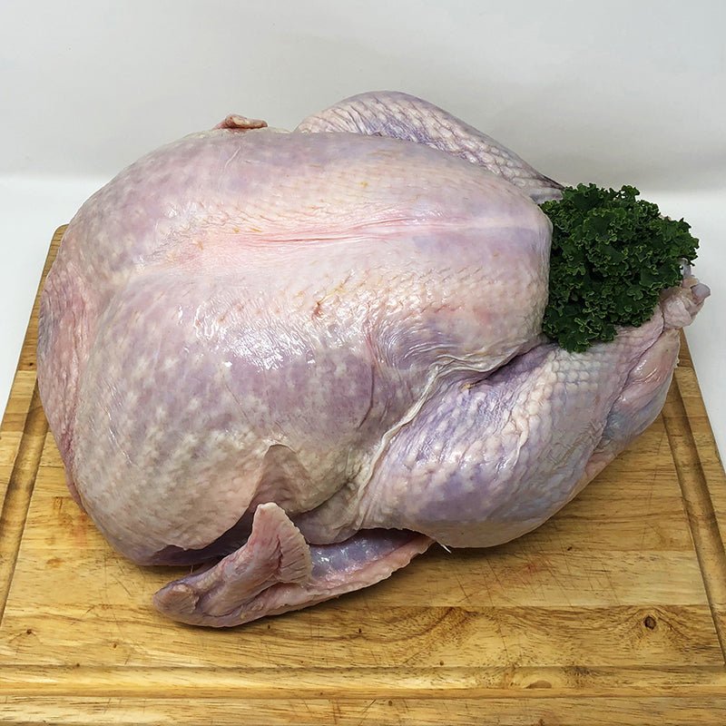 Broad Breasted Turkey