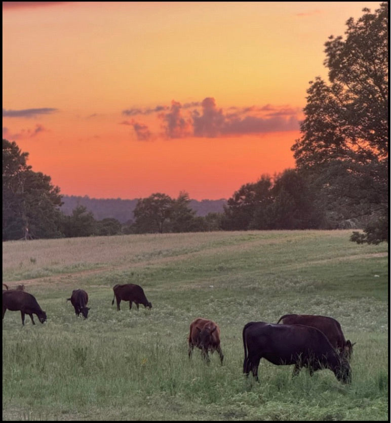 Custom Box Background