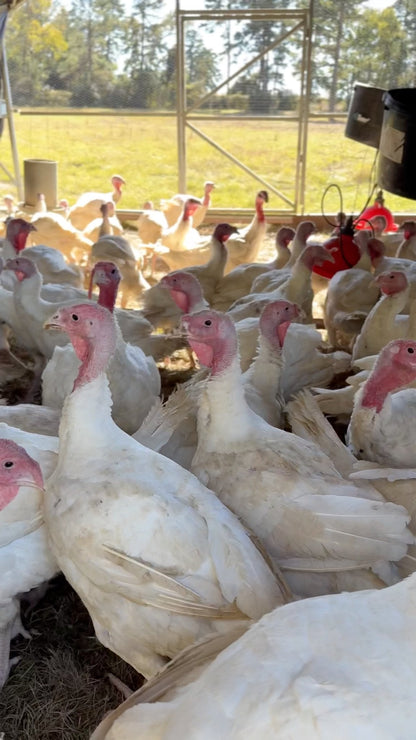 Ham and Turkey Winter Bundle - Butcher Curations