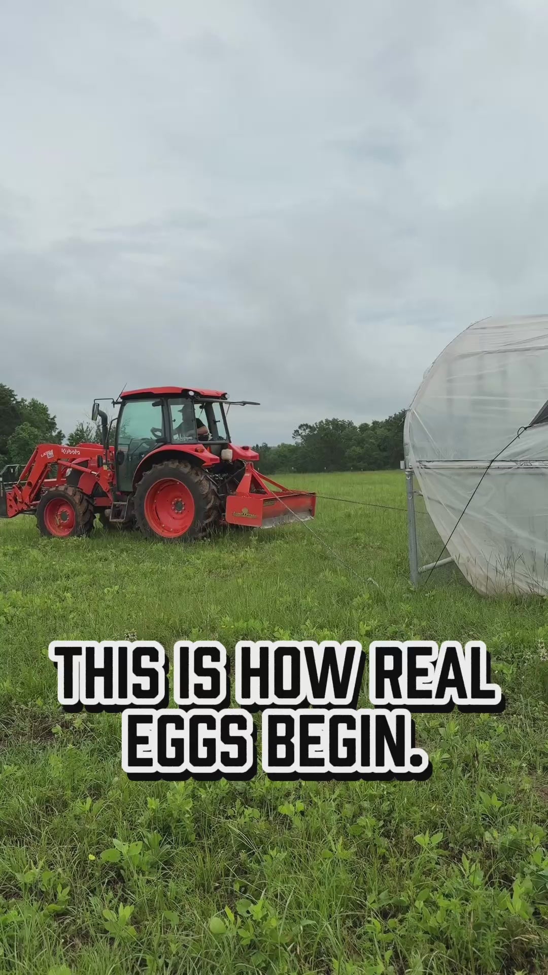 Pasture-Raised, Corn & Soy-Free Eggs (4-Doz.)