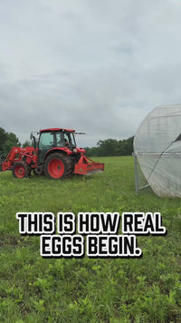 Pasture-Raised, Corn & Soy-Free Eggs (4-Doz.) video