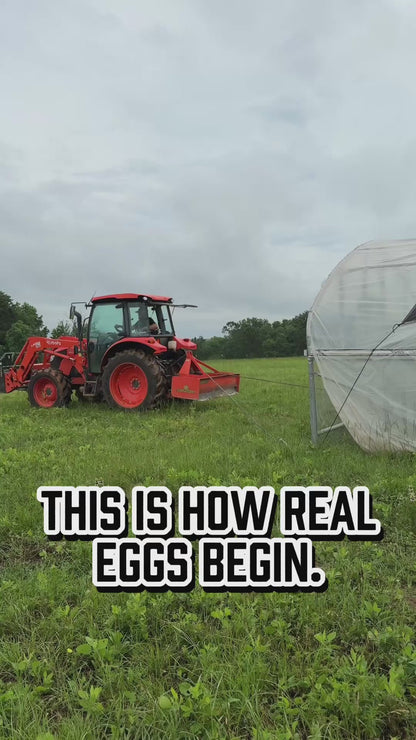 Pasture-Raised, Corn & Soy-Free Eggs (4-Doz.)