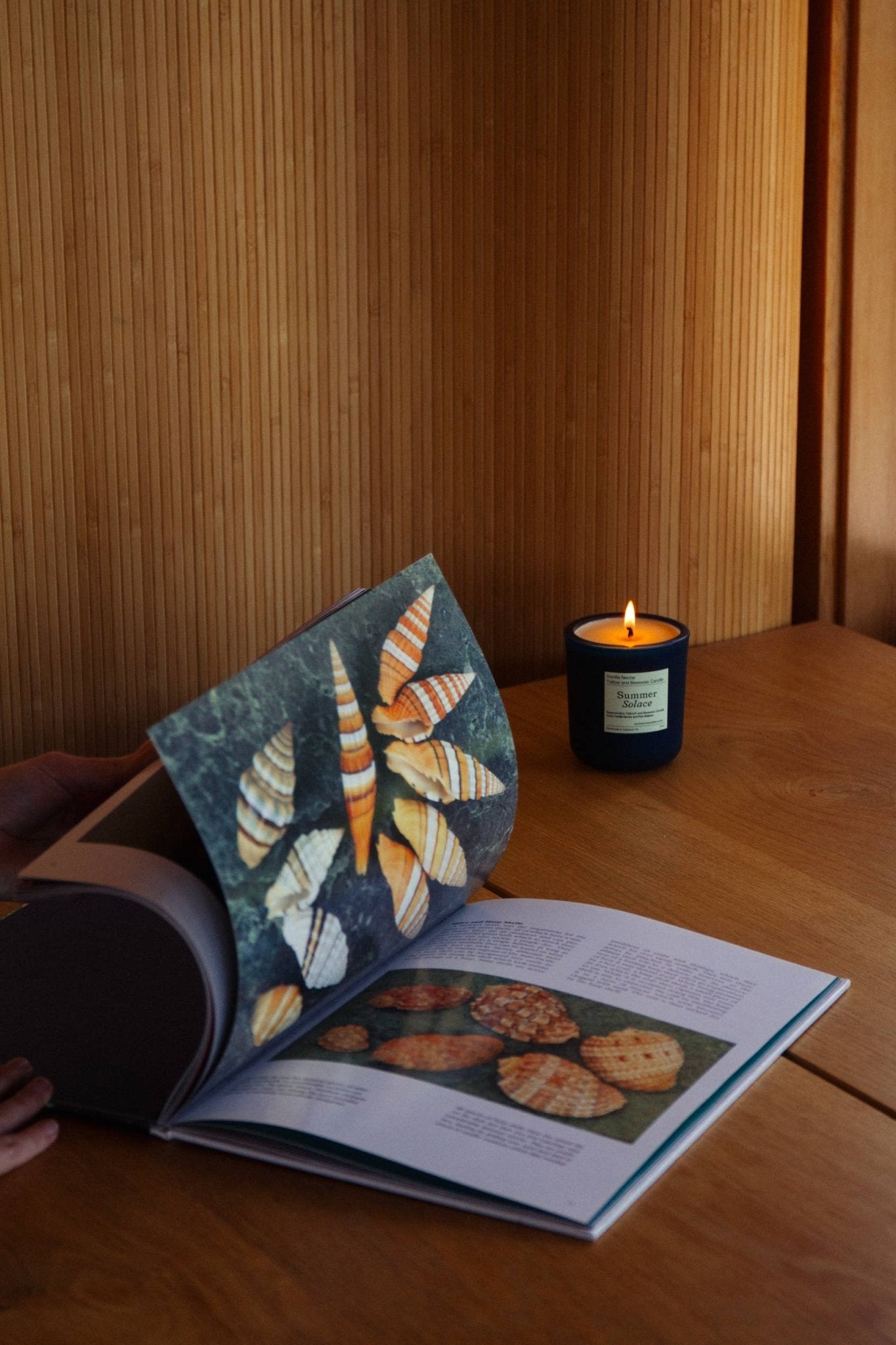 Vanilla Nectar + Peru Balsam Tallow Candle - 8.5 oz - Curations